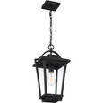 Quoizel Lighting DRS1911 Traditional Darius Outdoor Lantern