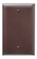 Pass & Seymour TP13 TradeMaster 1-Gang Nylon Wall Plate, Blank, Box Mounted, Brown