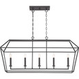 Quoizel Lighting AVY542 Transitional Aviary Island Light