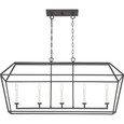 Quoizel Lighting AVY542 Transitional Aviary Island Light