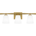 Quoizel QZL-BID8623 Transitional Bath 3 lights