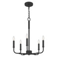 Quoizel Lighting ABR5018 Transitional Abner 5-Light Chandelier