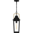 Quoizel  Traditional Outdoor hanging 1 light QZL-BUK1907