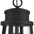 Quoizel  Transitional Outdoor hanging 1 light QZL-DNM1910