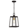 Quoizel  Traditional Mini pendant 1 light QZL-AMBL1508