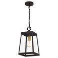 Quoizel  Traditional Mini pendant 1 light QZL-AMBL1508