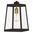 Quoizel  Traditional Mini pendant 1 light QZL-AMBL1508