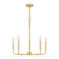 Quoizel QZL-ABR5024 Transitional Chandelier 5 light