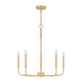 Quoizel QZL-ABR5024 Transitional Chandelier 5 light