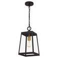 Quoizel Lighting AMBL1908 Traditional Amberly Grove Outdoor