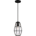 Quoizel QZL-BLH1508 Transitional Mini pendant 1 light