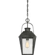 Quoizel Lighting CRG1910 Transitional Carriage Outdoor Lantern Style Pendant