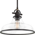 Quoizel Lighting GRTS2814 Transitional Grant Pendant