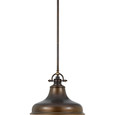 Quoizel QZL-ER1814 Transitional Pendant 1 light