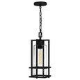 Quoizel  Transitional Mini pendant 1 light QZL-DMN1507