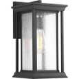 Progress Lighting P5610-31 Endicott Collection One-Light Medium Wall Lantern