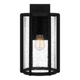Quoizel Lighting HAZ8409 Transitional Hazel Outdoor Wall Sconce
