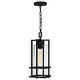 Quoizel QZL-DMN1907 Transitional Outdoor hanging 1 light