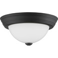 Quoizel Lighting ERW1611 Transitional Erwin 1-Light Flush Mount