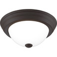 Quoizel Lighting ERW1611 Transitional Erwin 1-Light Flush Mount