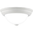 Quoizel Lighting ERW1611 Transitional Erwin 1-Light Flush Mount