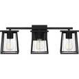 Quoizel Lighting LDG8624 Transitional Lodge 3-Light Bath Lighting