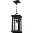 Quoizel Lighting MOI1908 Transitional Moira Outdoor Hanging Light