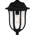 Quoizel Lighting MUL1909 Traditional Mulberry Outdoor Hanging Light