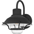 Quoizel QZL-LVL8411 Coastal Outdoor wall 1 light