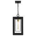Quoizel  Transitional Outdoor hanging 1 light QZL-INF1909
