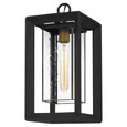 Quoizel  Transitional Outdoor hanging 1 light QZL-INF1909