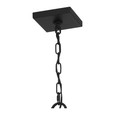 Quoizel Lighting INF1909 Transitional Infinger Outdoor Hanging Light