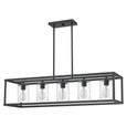 Quoizel Lighting NHR5538 Transitional New Harbor 5-Light Linear Chandelier