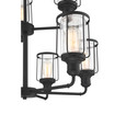 Quoizel  Transitional Chandelier 9 light QZL-LUD5028