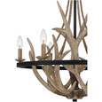 Quoizel  Transitional Chandelier 6lts QZL-JR5006