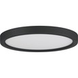 Quoizel  Transitional Flush mount 11"d white QZL-OST1711