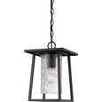 Quoizel QZL-LDG1909 Transitional Outdoor hanging mystic blck