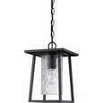 Quoizel  Transitional Outdoor hanging mystic blck QZL-LDG1909