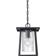 Quoizel  Transitional Outdoor hanging mystic blck QZL-LDG1909