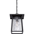 Quoizel  Transitional Outdoor hanging mystic blck QZL-LDG1909