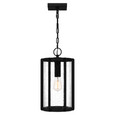 Quoizel  Transitional Mini pendant 1 light QZL-HAZ1509