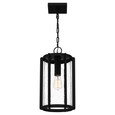 Quoizel  Transitional Mini pendant 1 light QZL-HAZ1509