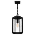 Quoizel Lighting HAZ1509 Transitional Hazel 1-Light Mini Pendant