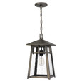 Quoizel  Transitional Mini pendant 1 light burnished QZL-MRL1509