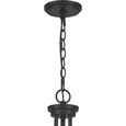 Quoizel  Transitional Chandelier 3 light QZL-PRUC5022