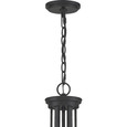 Quoizel  Transitional Chandelier 9 light QZL-PRUC5034