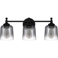 Quoizel Lighting JEN8624 Transitional Bath 3 lights