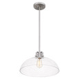 Quoizel QZL-QP5360 Transitional Pendant 1 light