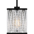 Quoizel  Traditional Linear chandelier 5 lights QZL-PCCET538