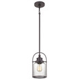 Quoizel QZL-QPP2781 Transitional Mini pendant 1 light